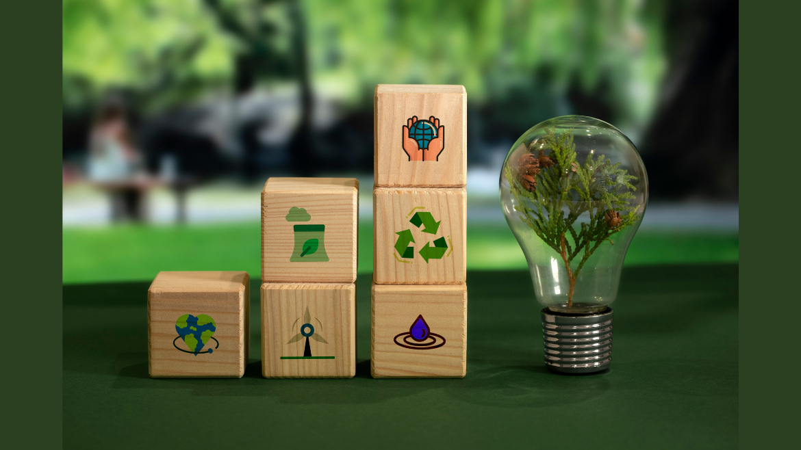 Combining Affordability and Sustainability in Plot Investments